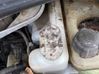 Windshield washer fluid reservoir/tank 7700817588