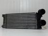 Chłodnica powietrza doładowującego / Intercooler 00000384N9
