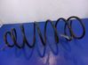Front coil spring 
