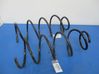 Front coil spring 