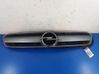 Front grill 13123491