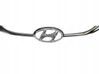 Front grill 86352A6010