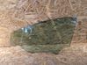 Fenster Scheibe Tür vorne (4-Türer) 43R001582