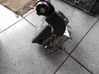 ABS Pump 6868638