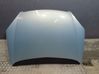 Engine bonnet/hood 7901H9