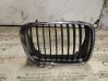 Front grill 51138195056