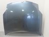 Engine bonnet/hood 790143