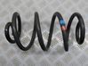 Feder hinten 550204217R