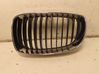 Kühlergrill 51137166439