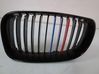 Kühlergrill 51137166439