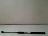 Tailgate/trunk strut/damper D65162620A