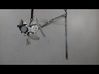 Front door window regulator with motor 