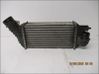 Intercooler radiator 384P8