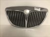 Front grill 735384149