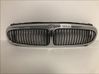 Front grill C2S38387