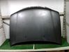 Motorhaube 651001F530