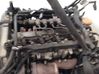Motor 71754381
