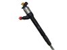 Fuel injector 55570012