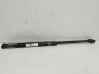 Tailgate/trunk strut/damper 7127875