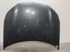 Engine bonnet/hood 7901P3