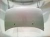 Engine bonnet/hood 7901N0