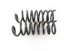 Rear coil spring 
