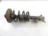 Front shock absorber with coil spring 