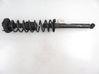 Rear shock absorber with coil spring 