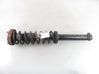 Rear shock absorber with coil spring 