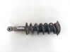 Rear shock absorber with coil spring 