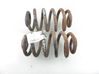 Muelle espiral trasero 
