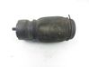 Galinė pneumatinė (oro) pagalvė 