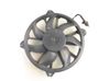 Fan set 