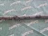 Rear driveshaft/prop shaft 