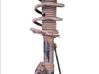 Amortiguador delantero con muelle espiral 20945998
