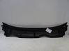 Windshield trim 