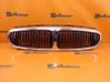 Front grill 
