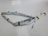 Airbag de la puerta delantera 85010A6000