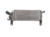 Radiador intercooler 14461EB360