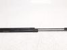 Tailgate/trunk strut/damper 520634370