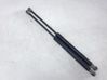 Front bonnet/hood damper/strut 505434870