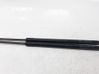 Tailgate/trunk strut/damper 689600W750A