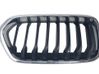 Front grill 7424777B