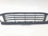 Atrapa chłodnicy / Grill 7391587