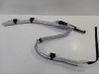Airbag de la puerta delantera 30363244B