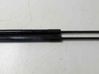 Tailgate/trunk strut/damper 