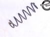 Rear coil spring 