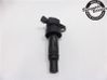 High voltage ignition coil 273012B100