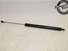 Tailgate strut 8731S0