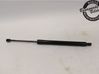 Tailgate strut 1682845